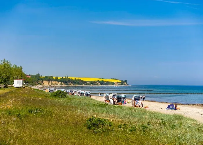 Likedeeler Whg Li30 * بولتينهاجين